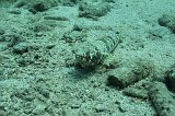 Curacao 04-12 085